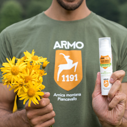 Arnica: a cosa serve e come usarla