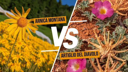 Arnica montana vs Artiglio del diavolo: la guida definitiva